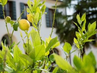 Residence Le Bugne