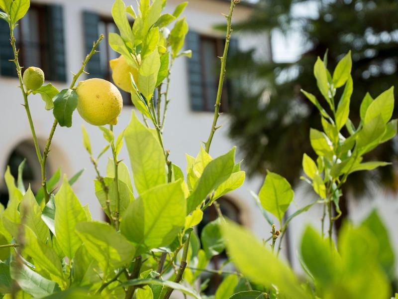 Residence Le Bugne - Genel