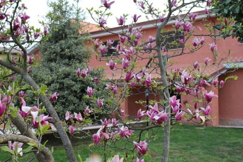 Il Sottosopra B B - Genel