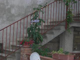 Albergo Villa Nobile fotoÄŸrafÄ±