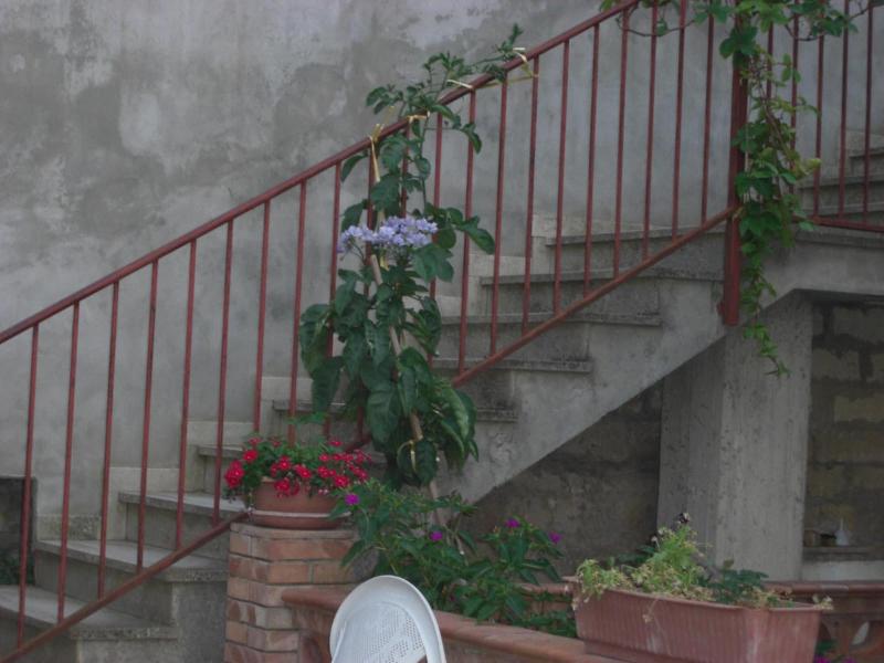 Albergo Villa Nobile - Lobi