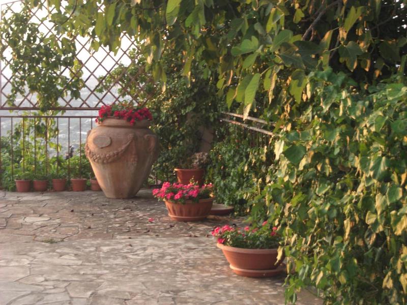 Albergo Villa Nobile - Genel
