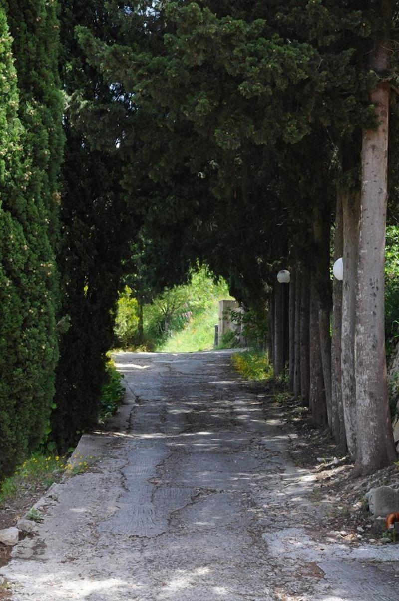 Albergo Villa Nobile - Genel