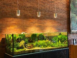 Nagomi Suites Hotel fotoÄŸrafÄ±
