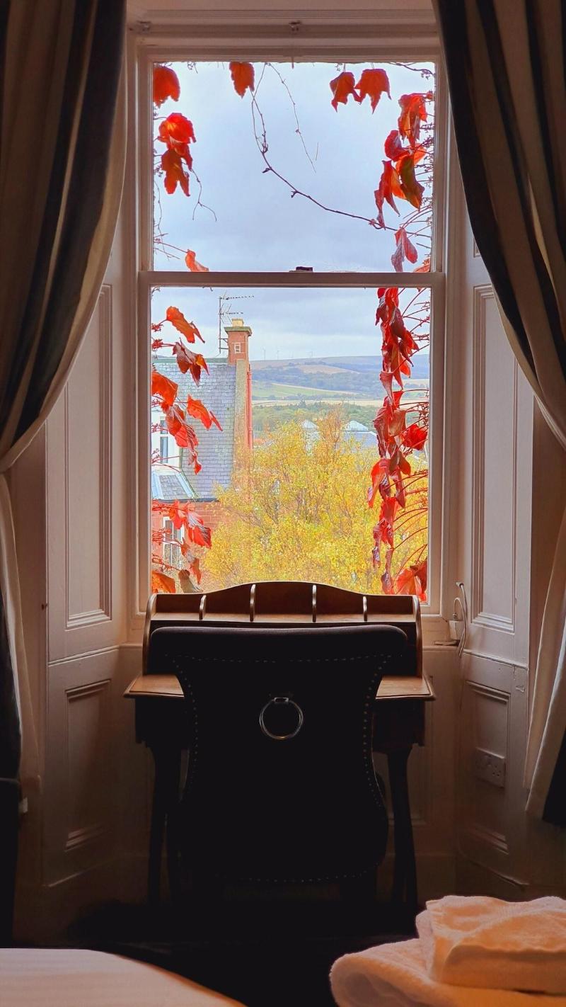 Bayswell Park Hotel - Oda