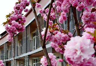 Privilege Apartments fotoÄŸrafÄ±