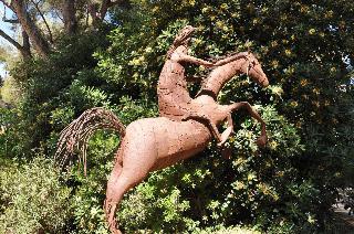 Villa Hippocampe fotoÄŸrafÄ±