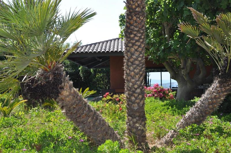Villa Hippocampe - Genel