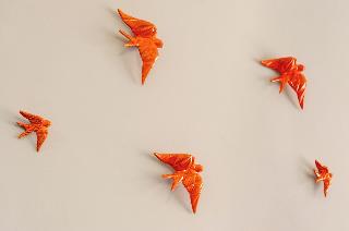 Le Jardin fotoÄŸrafÄ±