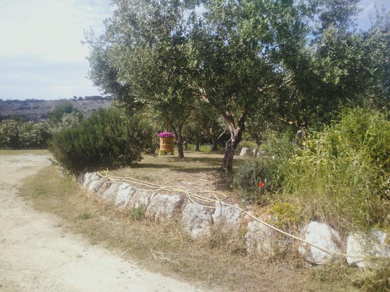 La Grotta Delle Fate - Genel