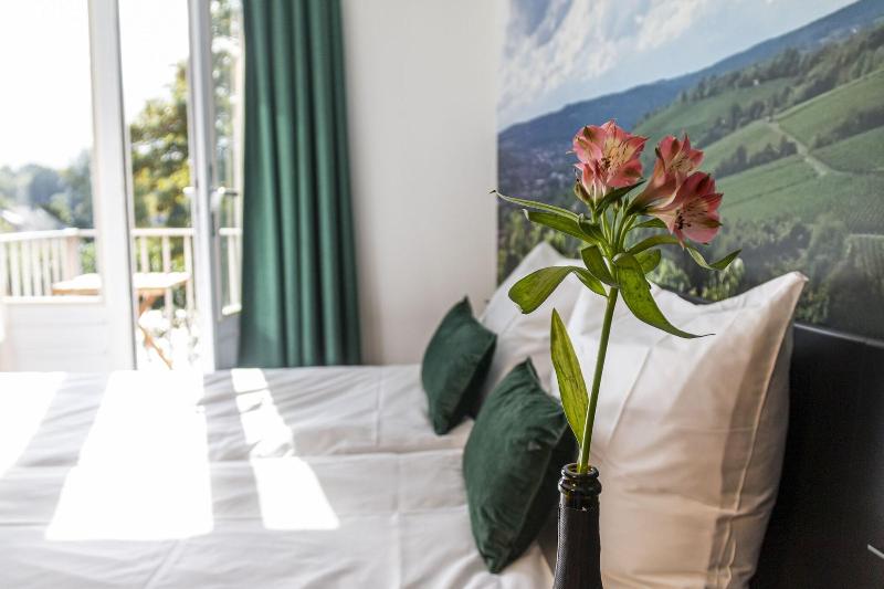 Dormio Wijnhotel Valkenburg - Oda