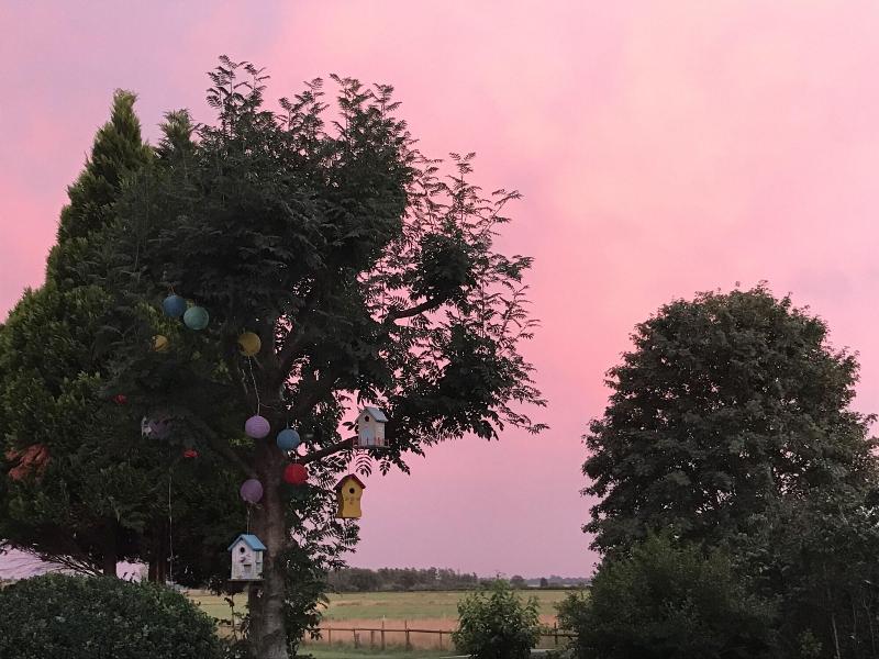 Worpsweder Blick - Genel