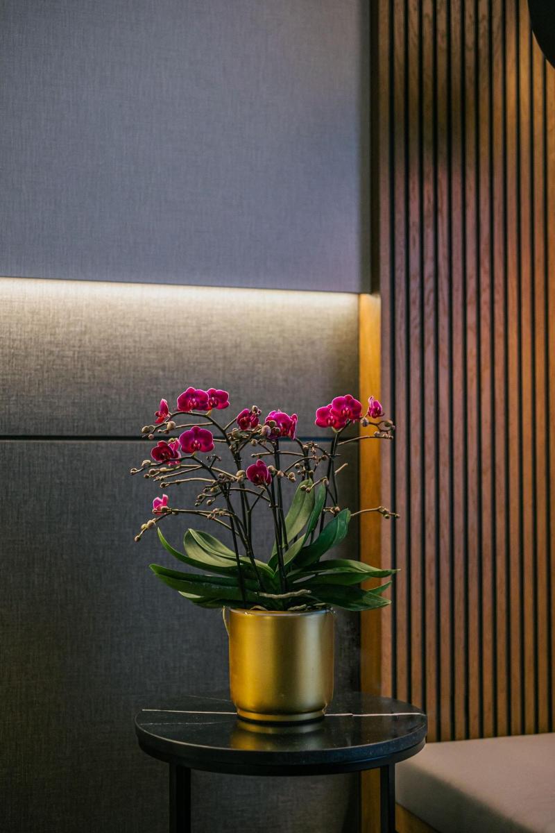 Radisson Collection Hotel Roma Antica - Lobi
