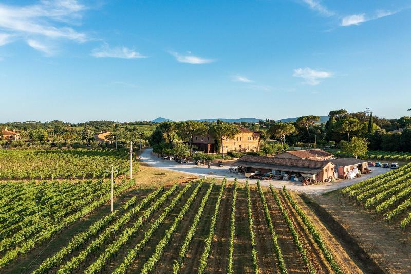 Villa Svetoni Wine Resort - Aktivite