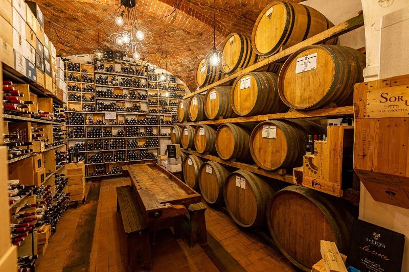 Villa Svetoni Wine Resort - Aktivite