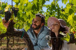 Villa Svetoni Wine Resort fotoÄŸrafÄ±