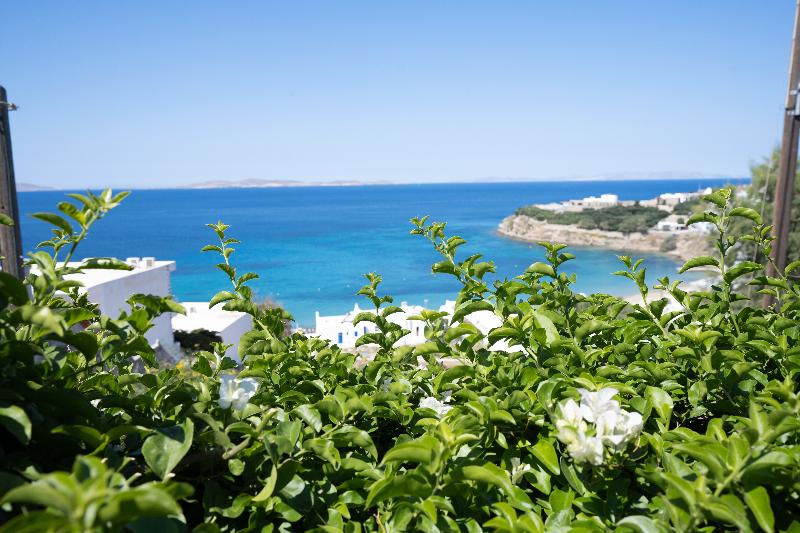 Zisis Pension - Genel