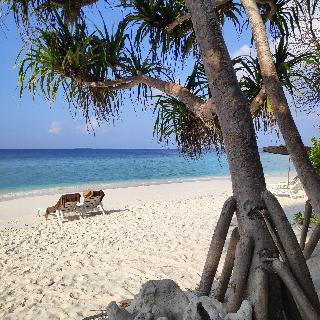 Nala Veli Beach & Spa fotoÄŸrafÄ±