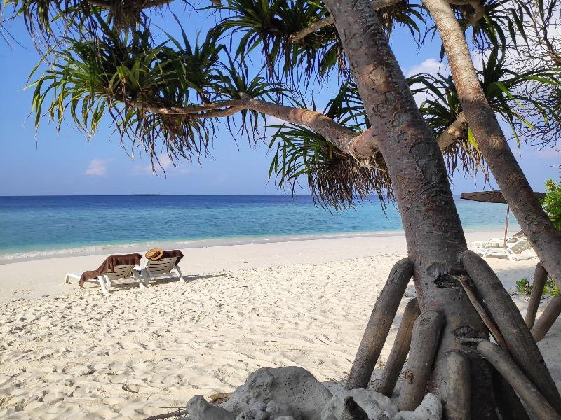 Nala Veli Beach & Spa - Plaj