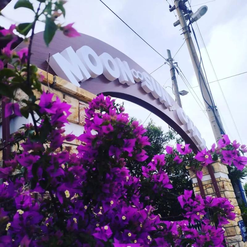 Moon & Sun Hotel - Lobi