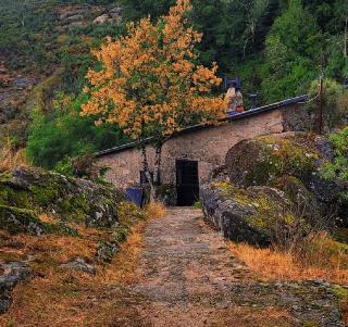 Salto Do Lobo fotoÄŸrafÄ±