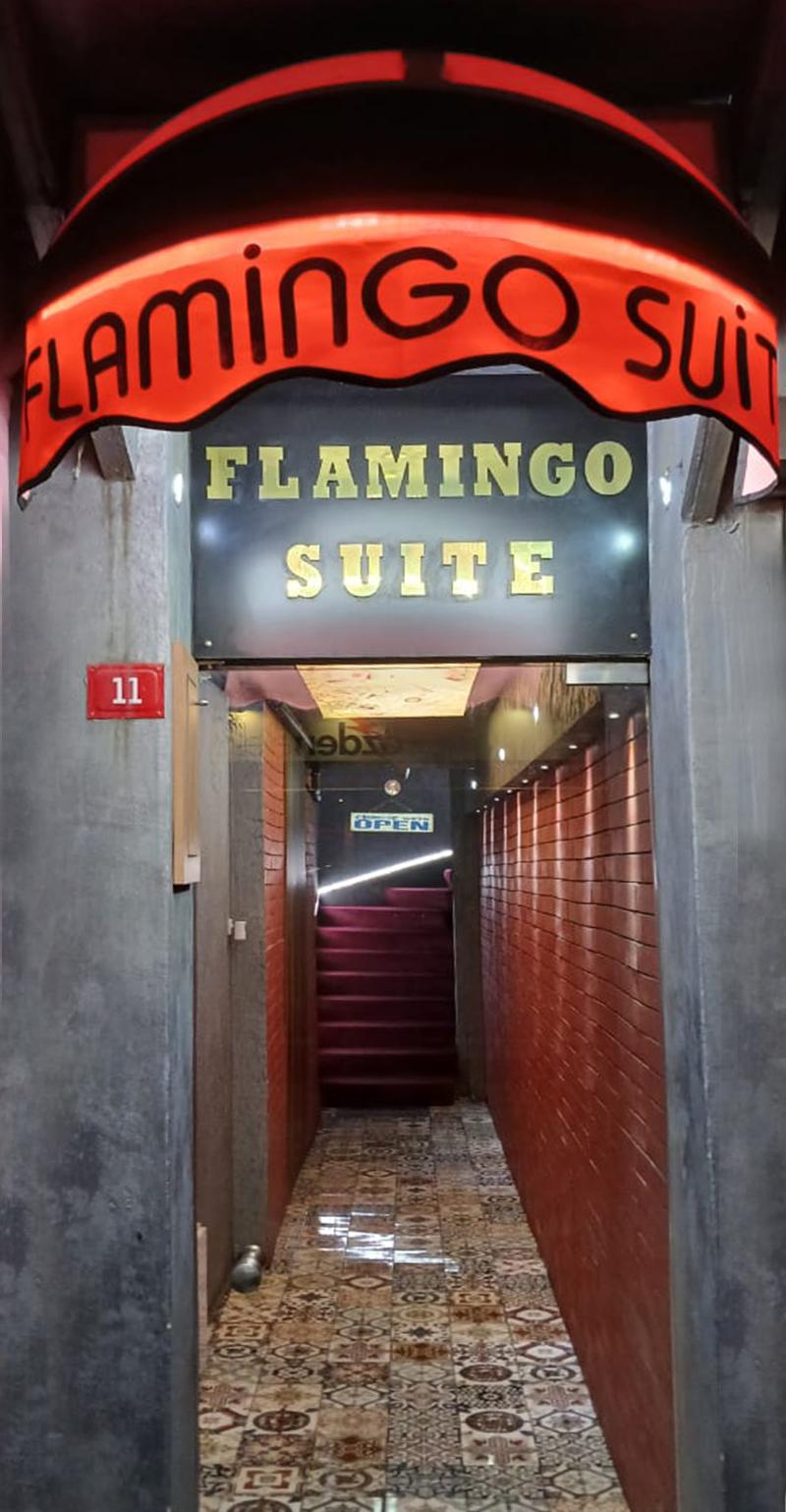 Flamingo Suit - Genel
