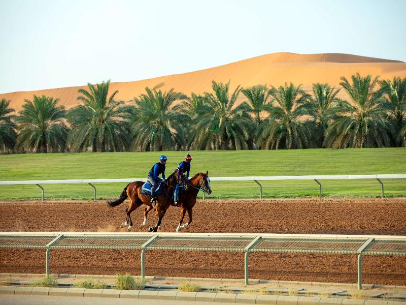 Nofa Riyadh, A Radisson Collection Resort - Genel