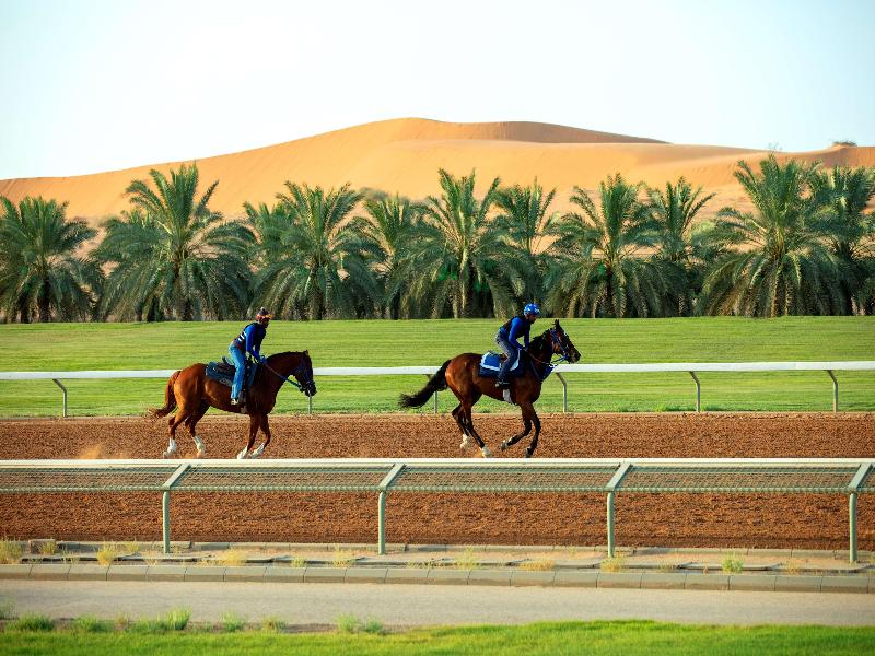 Nofa Riyadh, A Radisson Collection Resort - Genel