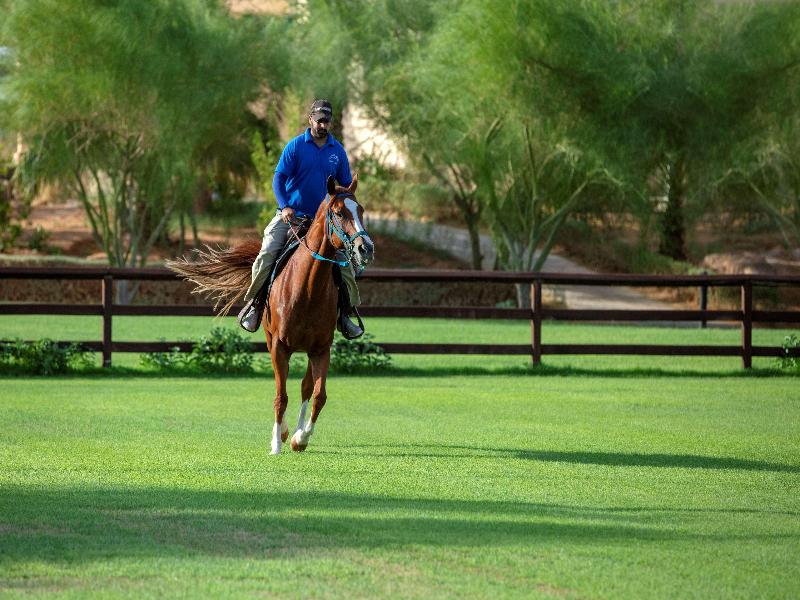 Nofa Riyadh, A Radisson Collection Resort - Genel