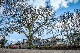 Oak Tree Inn otel fotoğrafı