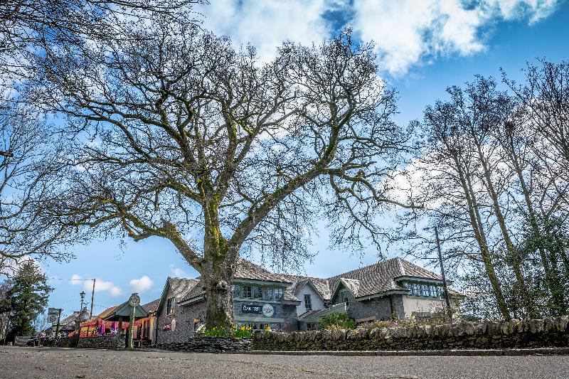 Oak Tree Inn - Genel
