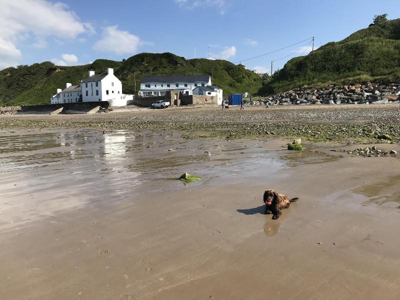 Bryn Noddfa - Plaj