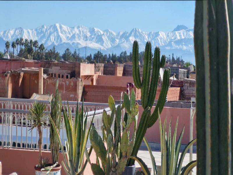Riad 48 & Spa - Teras