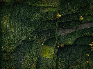 Anantara Ubud Bali Resort fotoÄŸrafÄ±