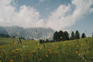 Terentnerhof Active & Lifestyle Hotels fotoÄŸrafÄ±