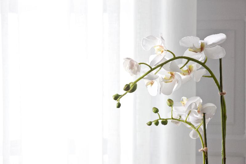 Belvedere Suites - Lobi