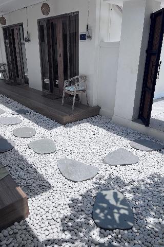 Kiwi Guest House By Zuzu fotoÄŸrafÄ±