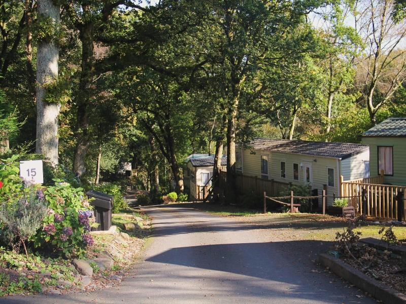 Aberdunant Hall - Genel
