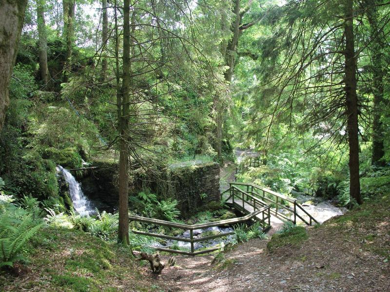 Aberdunant Hall - Genel