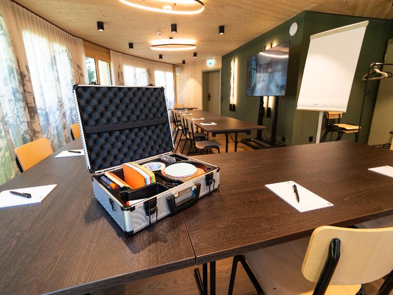 Hotel Mürren Palace - Toplantı