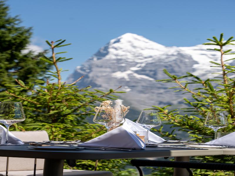 Hotel Mürren Palace - Teras