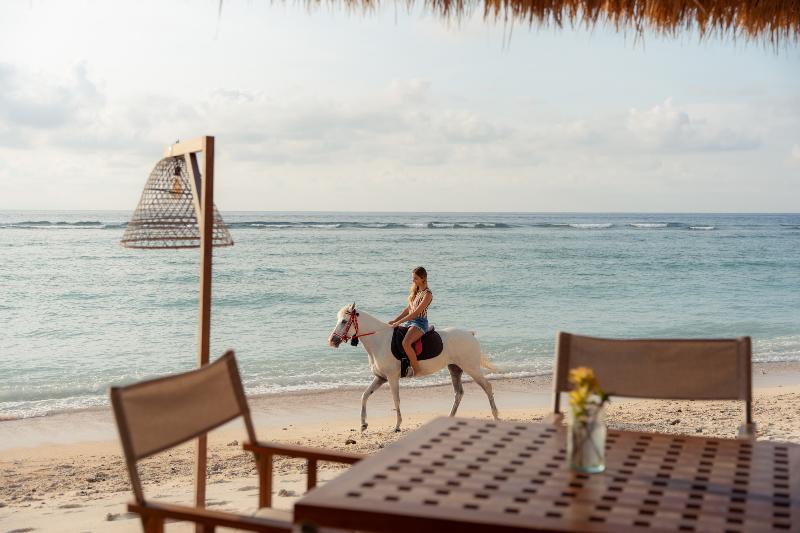 Cocana Resort Gili Trawangan - Aktivite