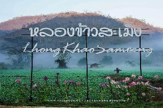 Lhongkhao Samoeng By Chi Villa By Zuzu fotoÄŸrafÄ±