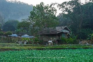 Lhongkhao Samoeng By Chi Villa By Zuzu fotoÄŸrafÄ±