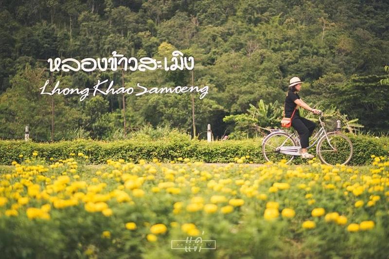Lhongkhao Samoeng By Chi Villa By Zuzu - Genel