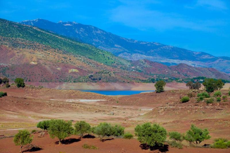 Les Jardins Yasmina - Genel