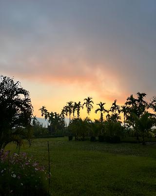 Le Cocotier Resort fotoÄŸrafÄ±