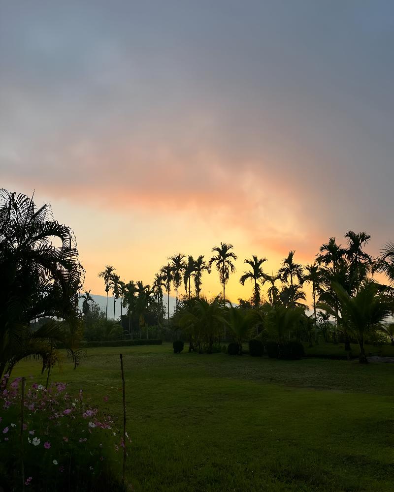Le Cocotier Resort - Genel