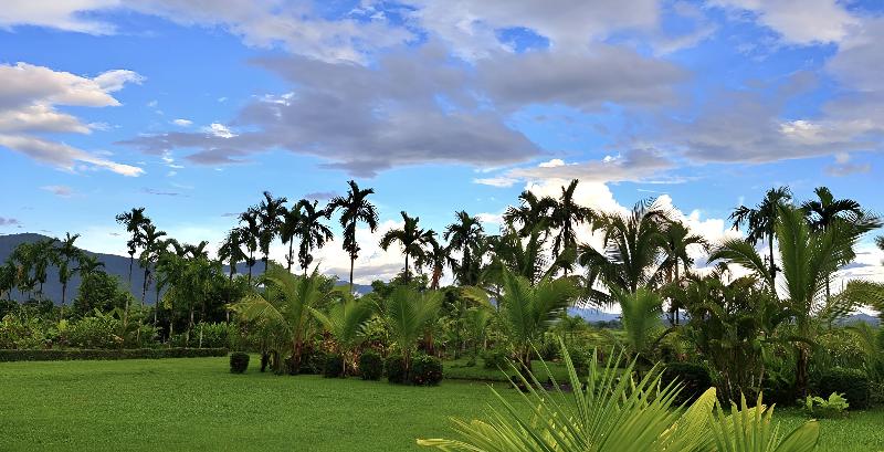 Le Cocotier Resort - Genel