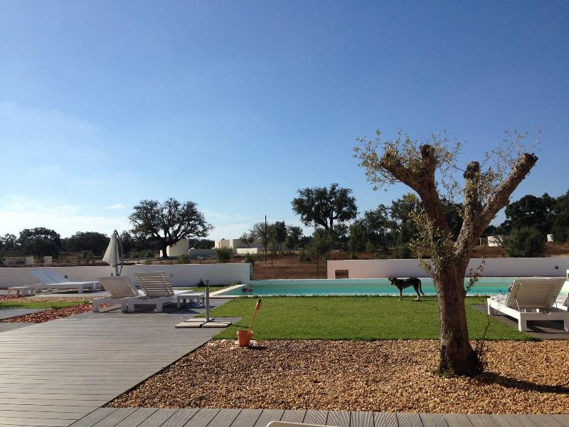 Monte Tons Da Terra - Countryhouse & Spa - Aktivite